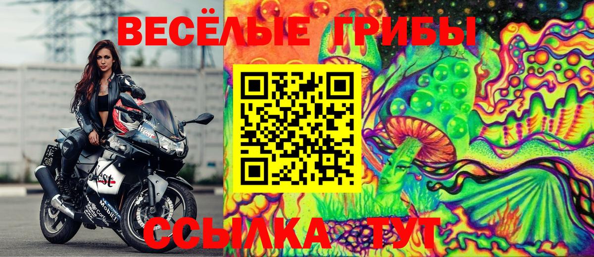 Псилоцибиновые грибы ЛСД Миасс